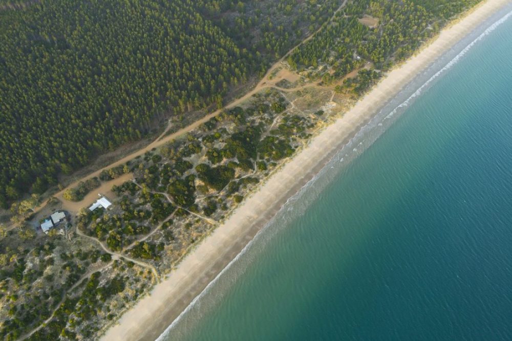 Aerial view of a coastline featuring a sandy beach, clear blue ocean water, and a dense forested area with visible buildings and pathways.
