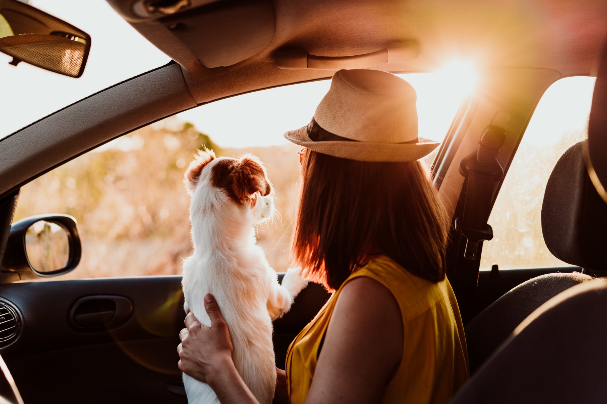 Woman and small dog in car looking out window, away from camera.