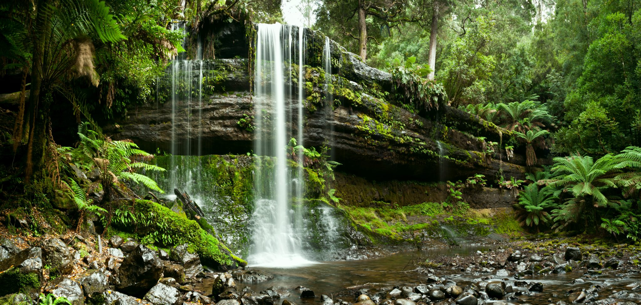 Waterfall over a large mossy log surrounded by greenery and smooth brown rocks in foreground.