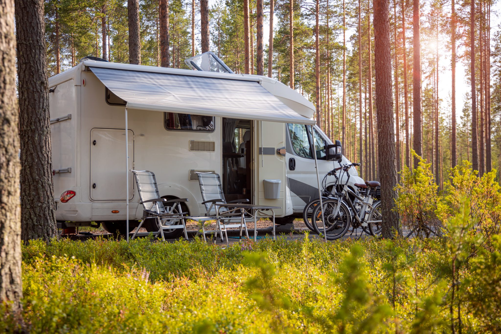 Motorhome with awning extended, parked amongst tall trees.