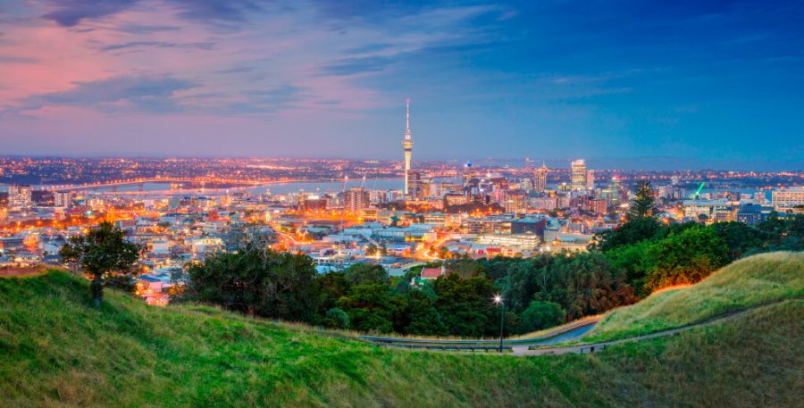 View of Auckland skyline from parklands.