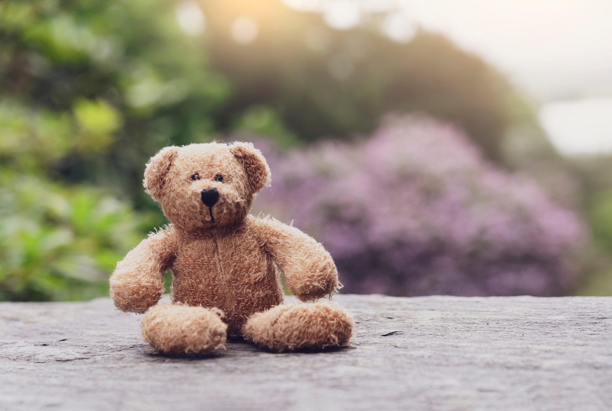 Teddy bear sitting on footpath with blurry natural background,